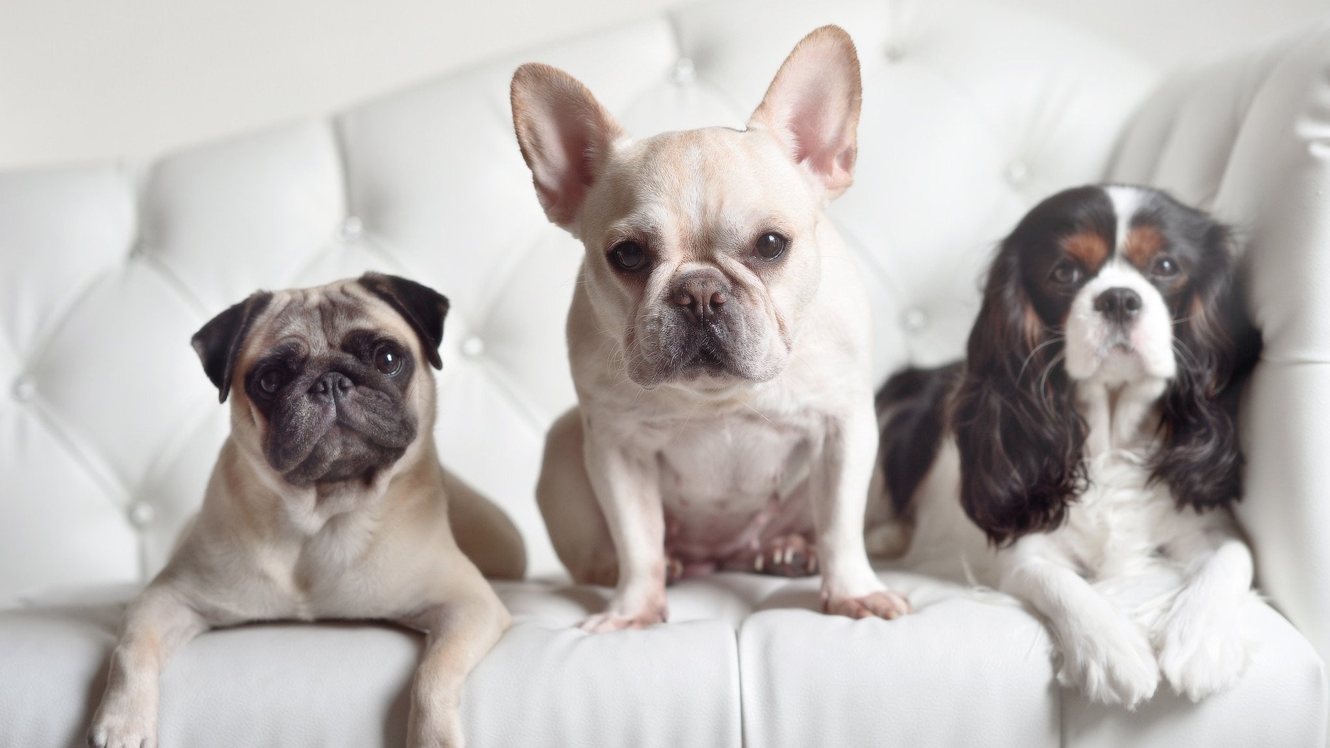 九游游戏中心官网-_运动员的日常生活：如何平衡训练与休闲_，运动员怎么锻炼身体