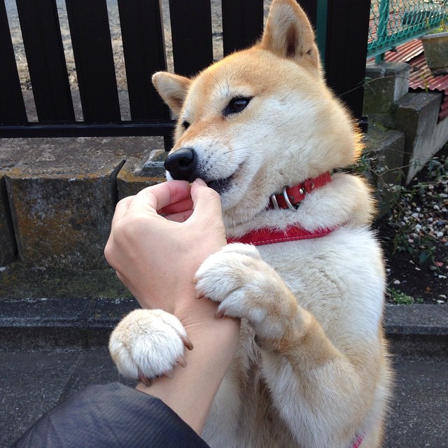 “中国足球+文化创意”产业融合创新推动行业转型升级，振兴中国足球产业的设计方案